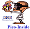 Pico-Inside Integrated Project