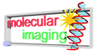 Molecular Imaging Integrated Project (EU)